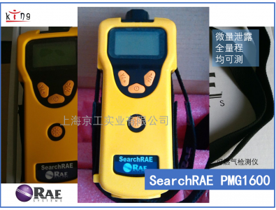 雙量程可燃?xì)鈾z測(cè)儀華瑞PGM1600